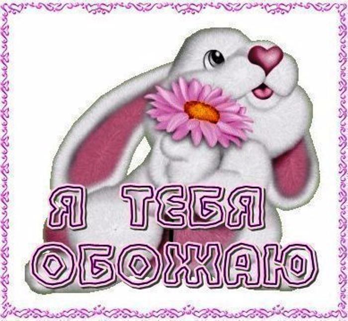 Я вас очень люблю тебя. Я тебя обожаю. Обожаю тебя картинки. Самой лучшей зайке. Красивые картинки я тебя обожаю.